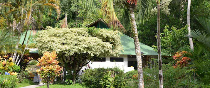 Villas Rio Mar Pacifique Sud Dominical Costa Rica Hotel