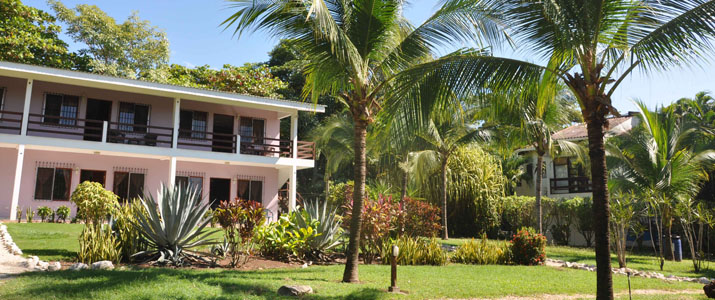 Villa Del Sol Guanacaste Playa del Coco extérieur palmier jardin