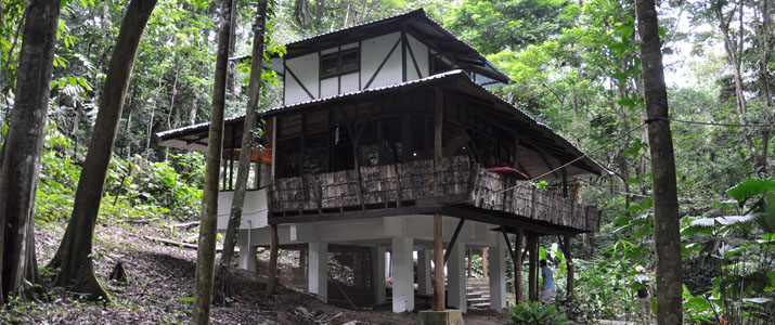 Maison dans les arbres El arbol Caraïbes Sud Manzanillo maison dans les arbres en plein nature sécurisée luxe confortable