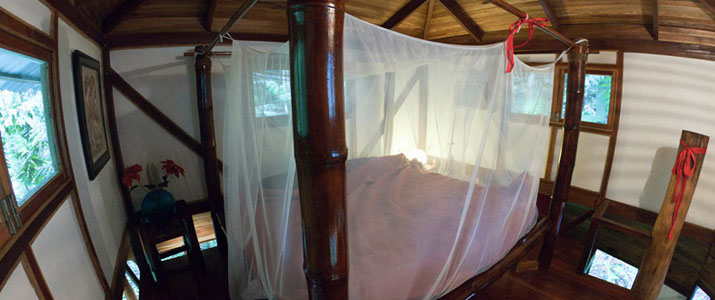 Chambre El arbol Caraïbes Sud Manzanillo maison dans les arbres chambre lit avec moustiquaire bois