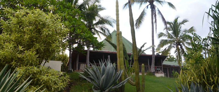 Casas Pelicano jardin Casas Pelicano jardin