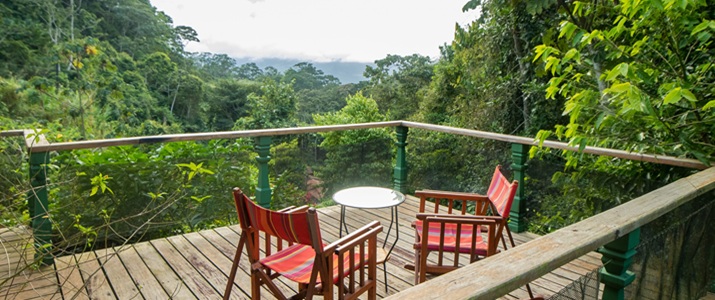 Hacienda Monte Claro terrasse terrasse, bois, nature, se reposer