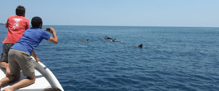 CR snorkeling tours 1 CR snorkeling tours 1 Alt observation mer