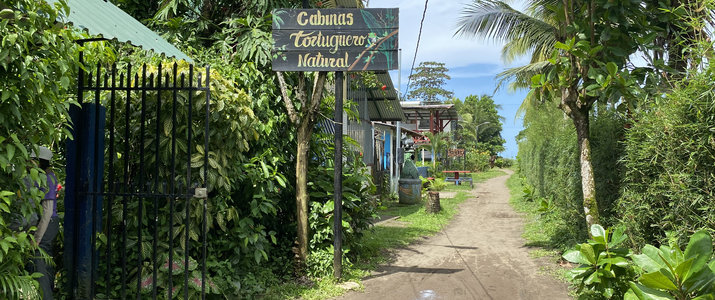 Tortuguero Natural chambre Chambre, dormir, repos, bleu, orange, vert, couleurs
