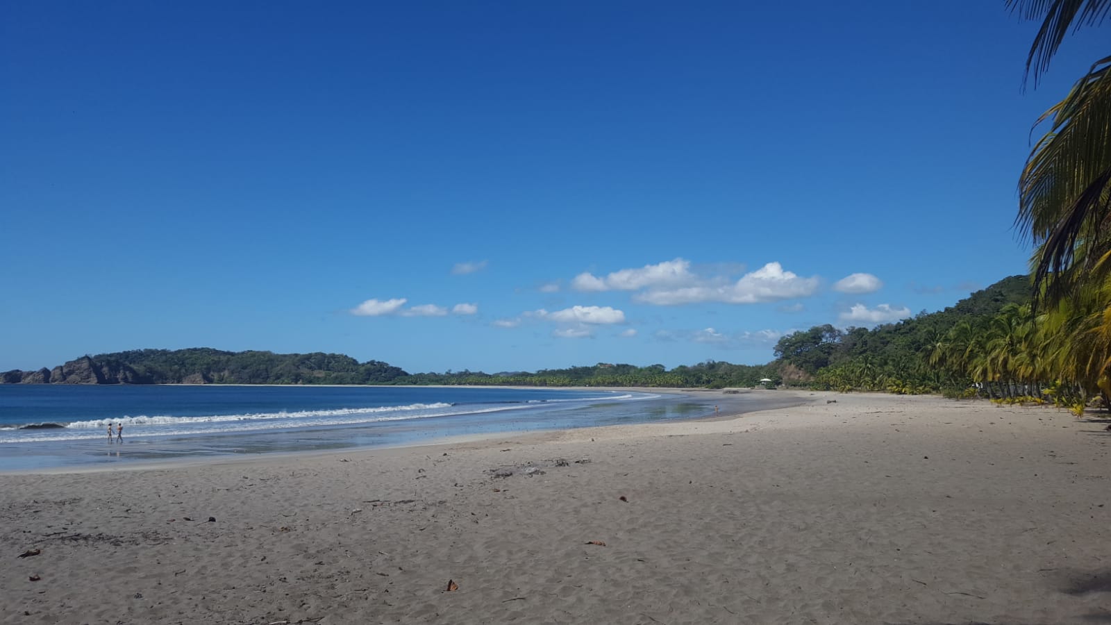 Plage sable fin ciel bleu cocotiers