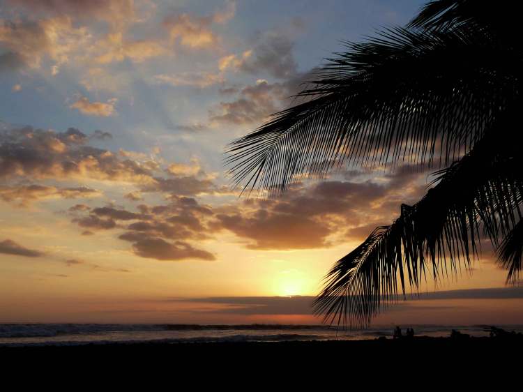 Plage merc palmier ciel bleu orange nuages soleil couchant