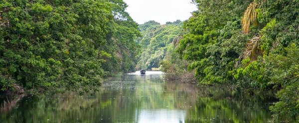 Barra del colorado